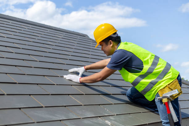 Best Solar Panel Roofing Installation  in Johnston City, IL