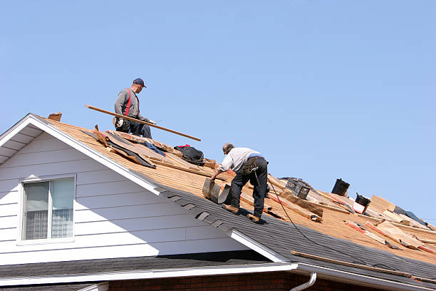 Best Steel Roofing  in Johnston City, IL